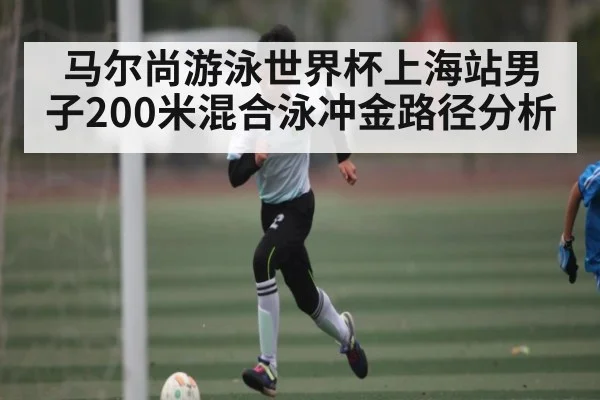 马尔尚游泳世界杯上海站男子200米混合泳冲金路径分析 - kaiyun
